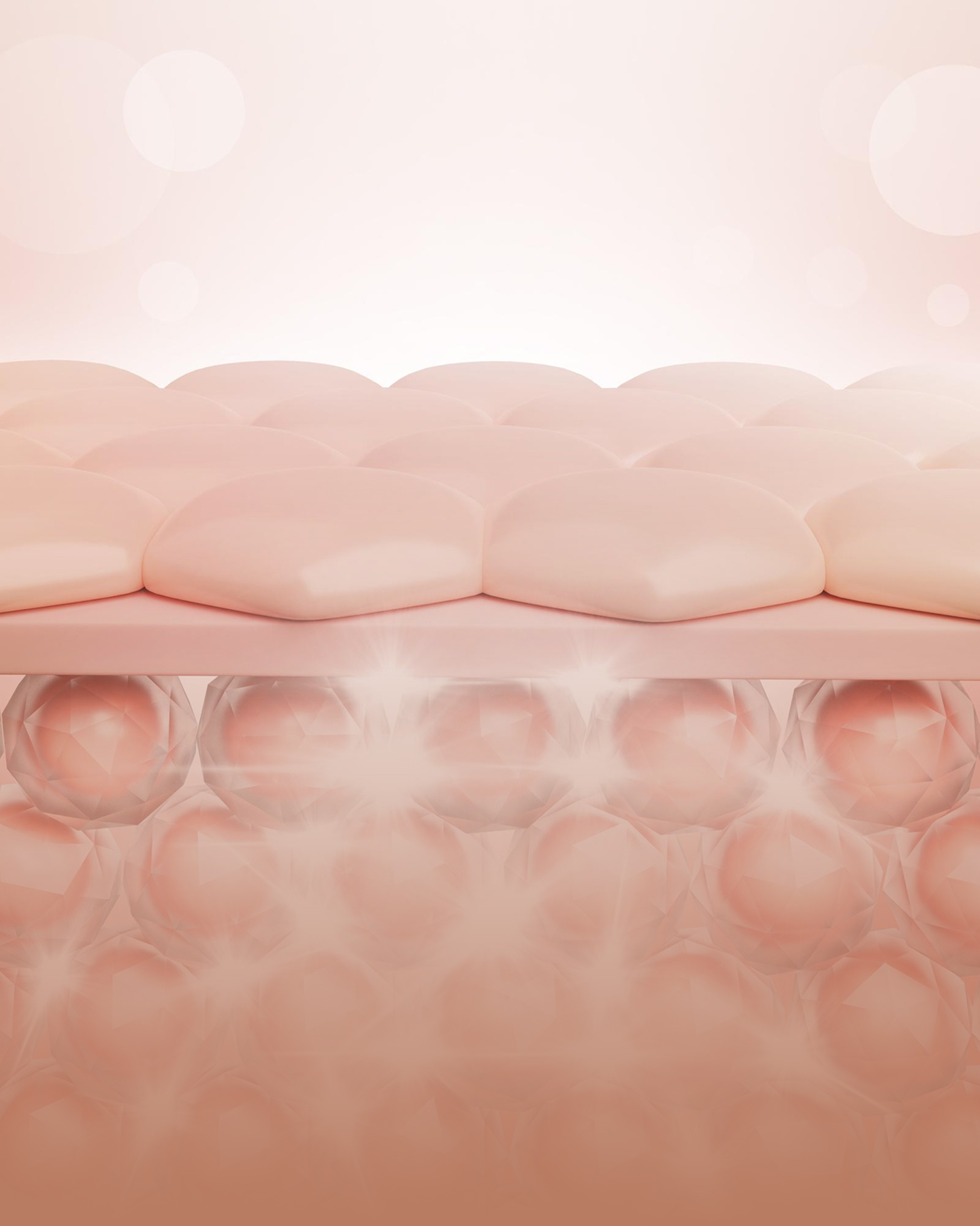 Illustration of the epidermis — the skin's surface cell layer